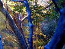 photo thumbnail #10