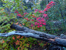 photo thumbnail #12