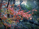 photo thumbnail #14