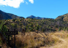 photo thumbnail #3