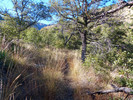 photo thumbnail #5