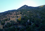 photo thumbnail #9