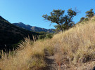 photo thumbnail #10