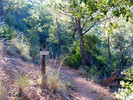 photo thumbnail #14