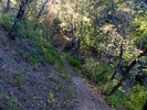 photo thumbnail #15
