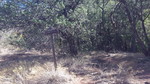 photo thumbnail #12