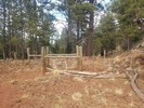 photo thumbnail #2
