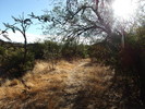 photo thumbnail #2