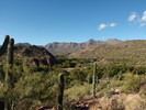 photo thumbnail #3
