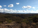 photo thumbnail #7