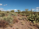 photo thumbnail #8