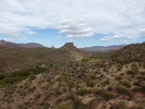 photo thumbnail #11