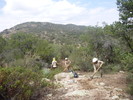 photo thumbnail #6