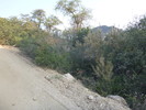 photo thumbnail #1