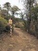 photo thumbnail #4