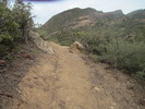 photo thumbnail #9
