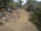 photo thumbnail #13