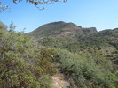 photo thumbnail #8