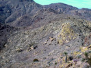 photo thumbnail #11