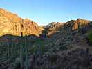 photo thumbnail #3
