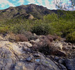 photo thumbnail #9