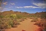 photo thumbnail #1