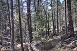 photo thumbnail #2