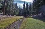 photo thumbnail #8