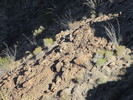 photo thumbnail #14