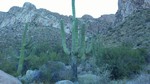 photo thumbnail #6