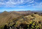 photo thumbnail #5