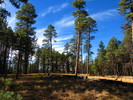 photo thumbnail #8