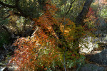 photo thumbnail #14
