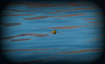 photo thumbnail #15