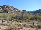 photo thumbnail #4