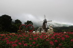photo thumbnail #2