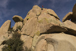 photo thumbnail #6