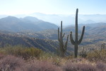 photo thumbnail #11
