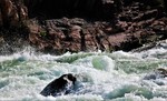 2017-05-12 :3: Grand Canyon River Trip :: tibber
