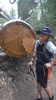 photo thumbnail #11