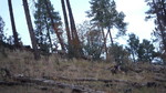 photo thumbnail #4