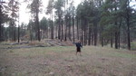 photo thumbnail #5