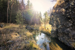 photo thumbnail #5
