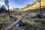 photo thumbnail #6