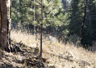 photo thumbnail #8