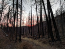 photo thumbnail #15