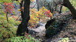 photo thumbnail #14