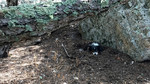 photo thumbnail #10