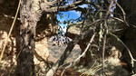 photo thumbnail #11