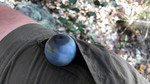 photo thumbnail #7